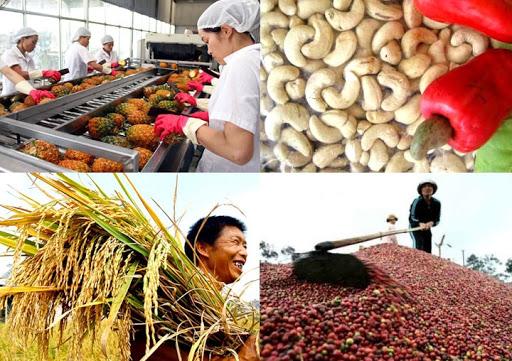 Ngành Nông nghiệp biến động: Gạo Việt Nam tăng giá cao nhất 9 năm qua